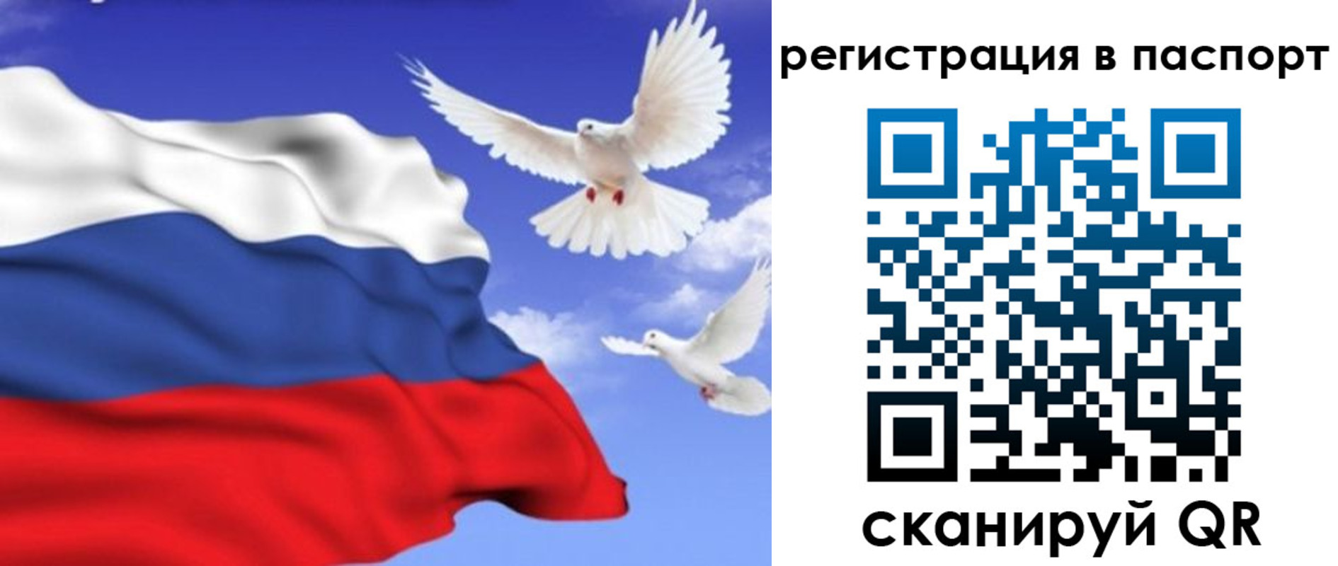 купить прописку в Курской области